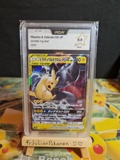 Pikachu & zekrom GX 031/095
