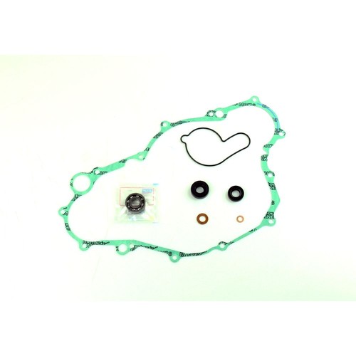 Athena water pump gasket - athena,