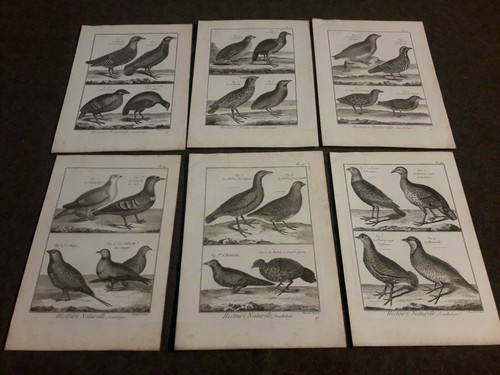Lot gravures bernard direxit - bernard,