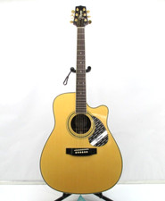Takamine EG334C G Series