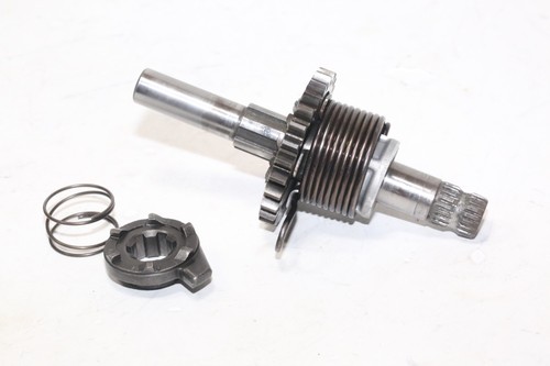 Axe kick suzuki 250 - kick, ts