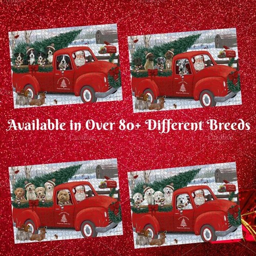Christmas santa express - santa,