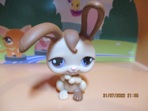 Petshop lapin garenne - lapin,
