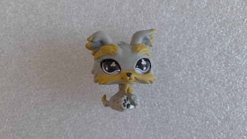 Littlest petshop lps 883 - petshop, #883