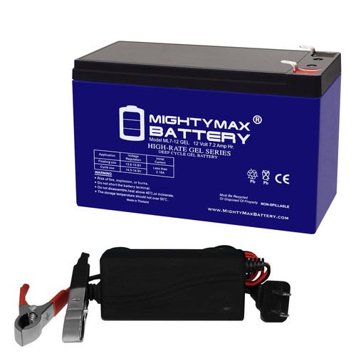 Mighty max 12v - 7ah, f1