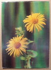 Carte postale lenticulaire