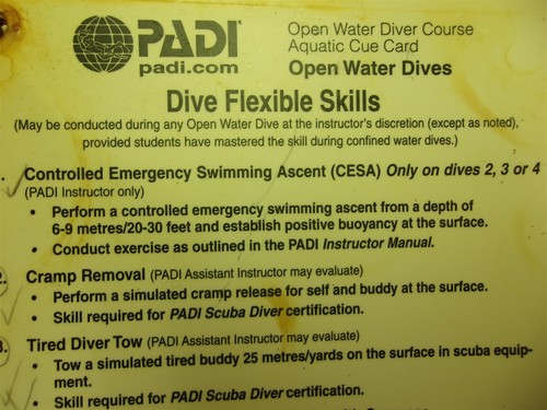 Padi open water diver - diver,