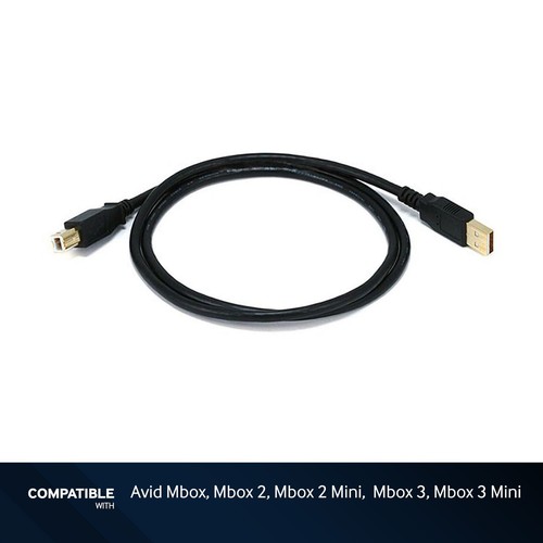 Foot black usb - 3-foot, 2.0