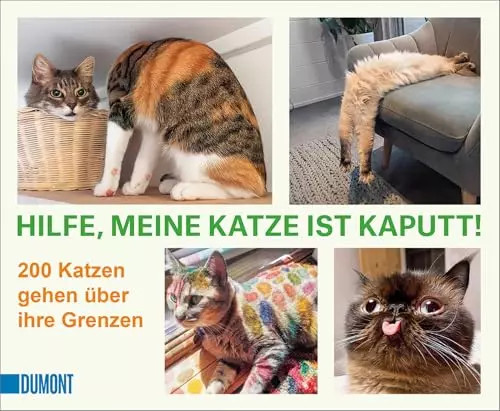 Hilfe meine katze ist - meine,
