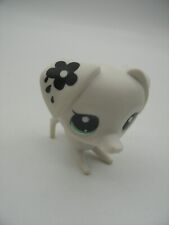 Hasbro Littlest PetShop PET