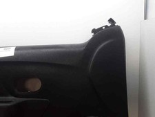 809013299R PROTECTION PORTE