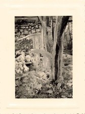 ANCIENNE JOLIE PHOTO NOIR ET