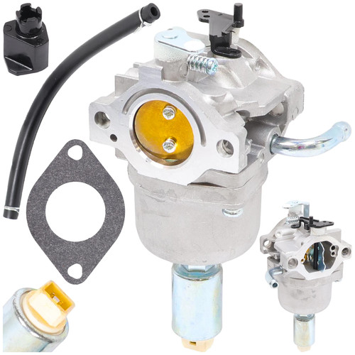 Carburateur pour moteur briggs - carburateur,