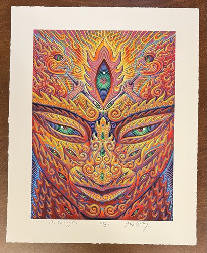 Alex grey the shining one - alex,