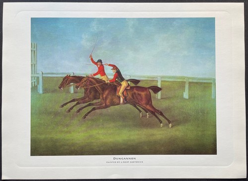 Chevaux
