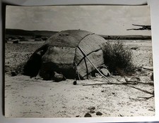 Photo De Presse Djibouti Campement Traditionnel Habitation AFRIQUE 