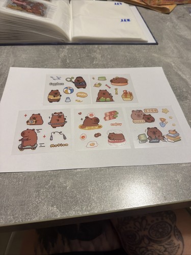 Lot autocollants capybara - lot,