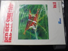 22$$ Revue RED BEE SHRIMP Vol 8 revue aquariophile sur CREVETTES en Japonais