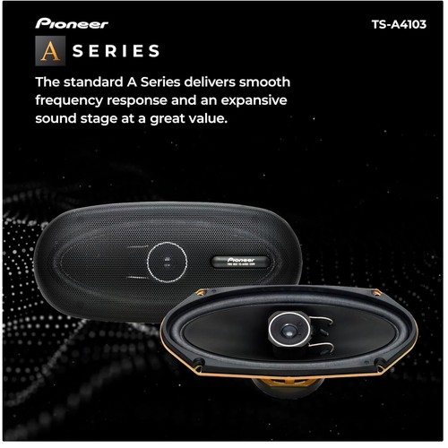 Pioneer a4103 4x10 - ts-a4103, car