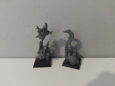 Grand chef + Chamane Gobelins