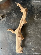 Racine naturelle  - décoration aquarium/Terrarium, driftwood, bois flotté