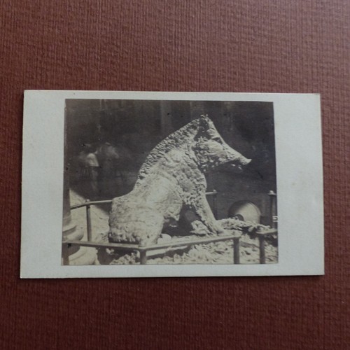 Italie photo cdv sculpture - cdv,