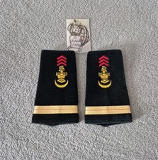 Paire de fourreaux d'épaule 19 e régiment du génie d'Afrique grade adjudant chef