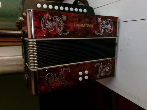 Diatonic accordion - diatonic,