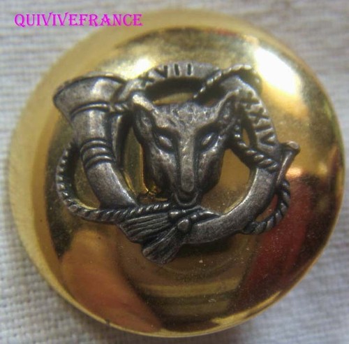 B1589 bouton chasse - b1589,