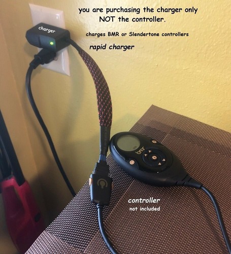 Replacement charger for - charger,