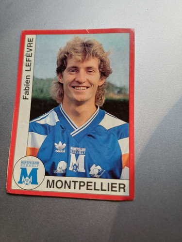 Panini football 1995 fabien - football,