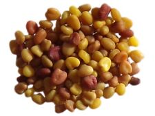 Trèfle Blanc Nain Non Traité Trèfle Blanc - Trifolium Repens L. - SEM06