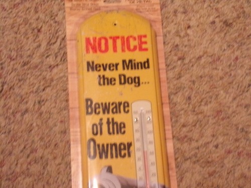 New metal thermometer - , gun