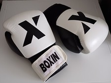 gant de boxe