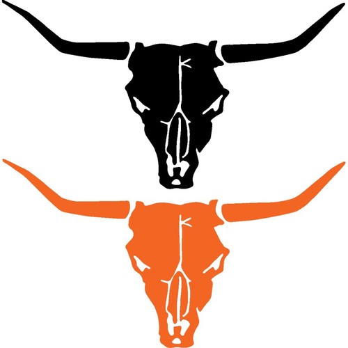 Longhorn bull cow skull - cow,