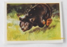 Image CHROMO Chocolat