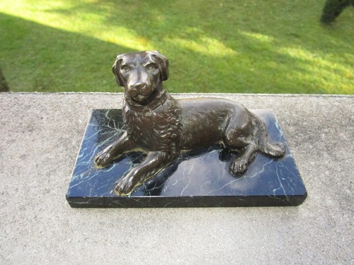 Ancien chien xixe régule - chien, en