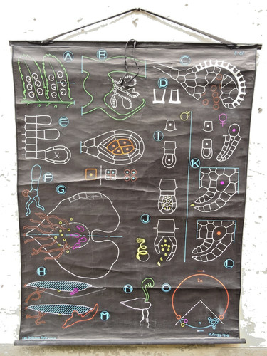 Ancienne affiche scolaire - , dr