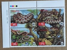 Bloc 2002 : serpents Léopard (Elaphe Sytula)