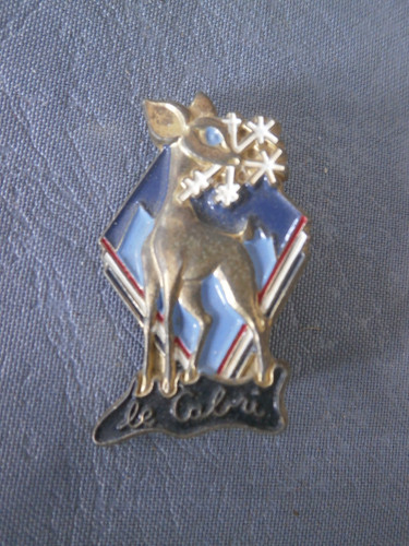 Insigne broche badge esf - insigne,