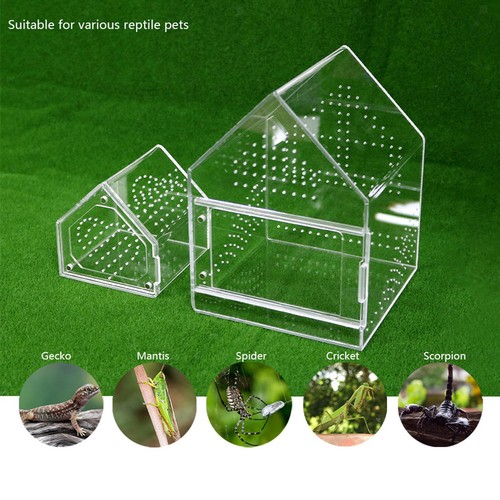 Enclos saut microhabitat - enclos, de