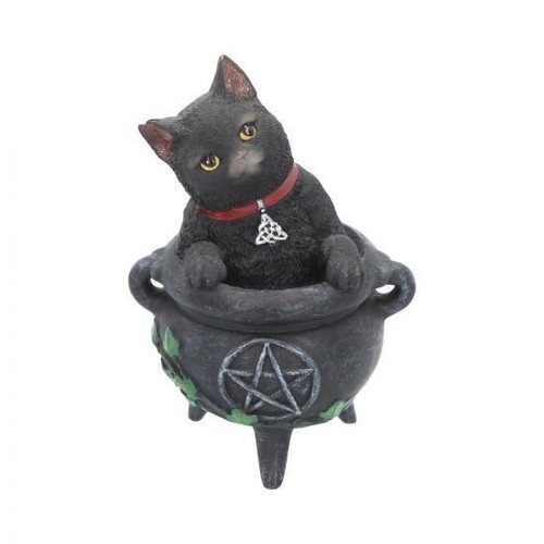 Déco chat noir sorcière - déco,