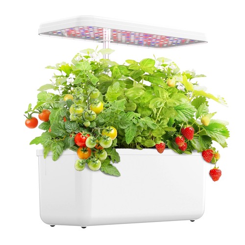 Jardin intérieur kit de - d'intérieur,