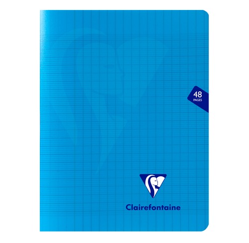 303751c clairefontaine lot - [303751c],