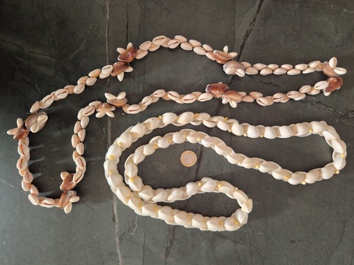 Colliers coquillages - 2, de