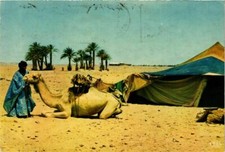 CPM AK MAROC Devant la Haimah