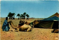 CPM AK MAROC Devant la Maimah