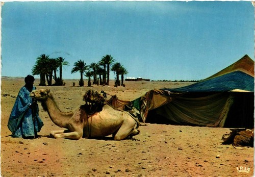 Cpm maroc devant maimah - maroc,