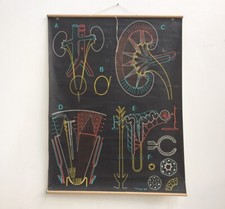 affiche Affiche scolaire