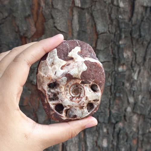 220gr amazing whole permian - amazing,